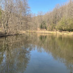 77F37B71-E08C-4B58-833B-B97920A104DC-22244-000004FA4EE039F7